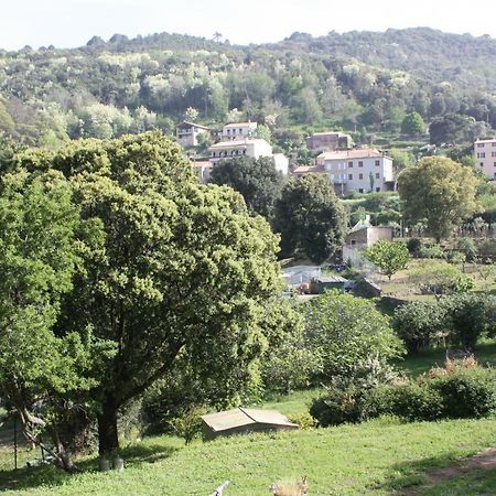 A Cardiccia Loc Saisonnieres Piana Apartment Пяна Екстериор снимка
